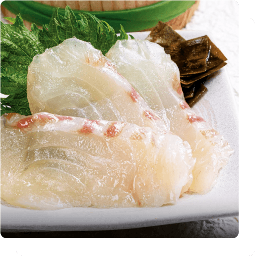 敦賀真鯛昆布締め